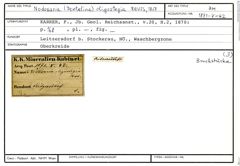 Karteikarte zum Belegmaterial von Nodosaria (Dentalina) oligostegia Reuss, 1845